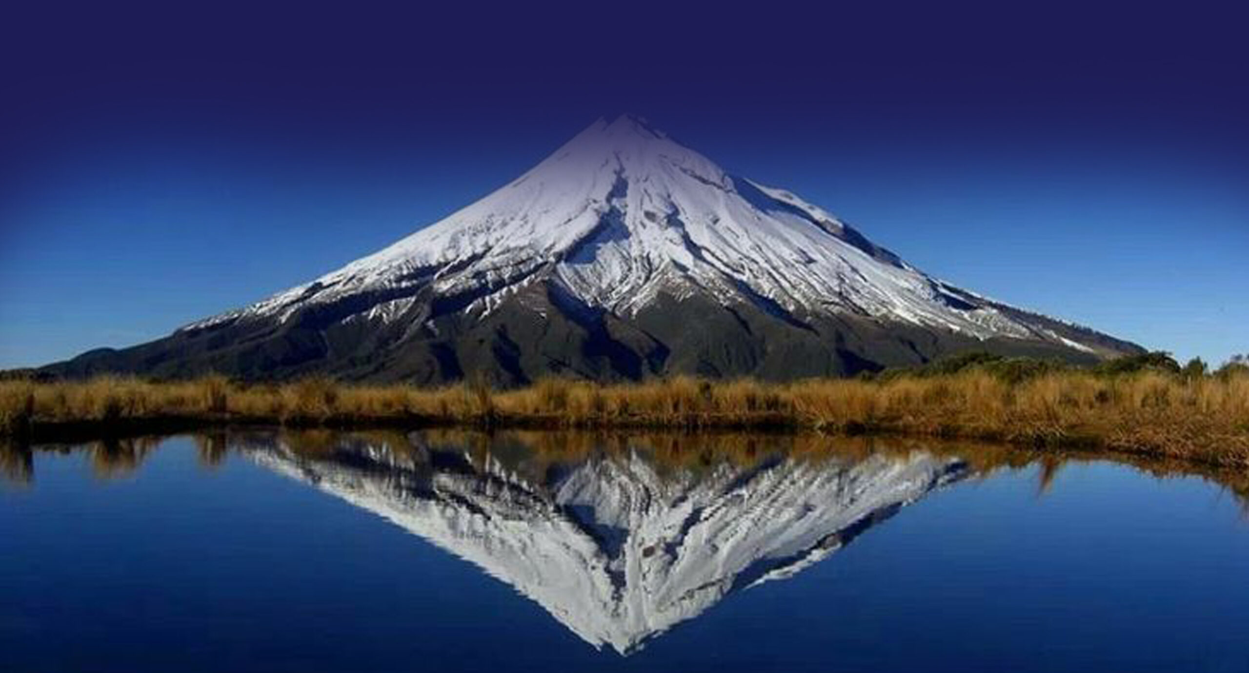 Worldwide Visa & Tours: Your Global Journey Starts Here (1300 x